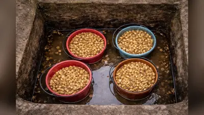 हजारीबाग में कारोबार को आसान बनाने के लिए टैक्स डिपार्टमेंट की पहल, कारोबारियों किया जागरूक